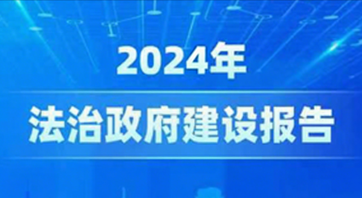 2024年法治政府建设报告