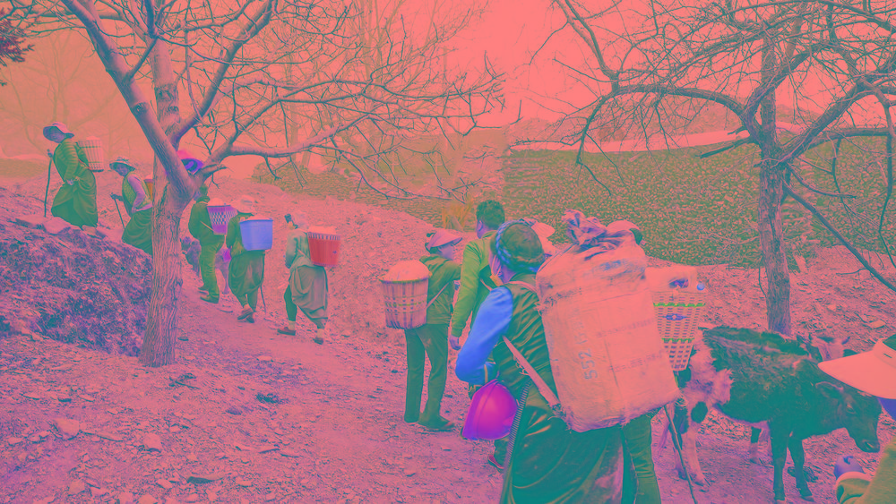 翻山越岭送物资上火线雅江县八角楼乡有支棒棒军