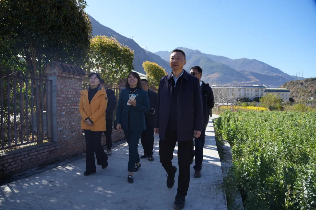 宋晓军专题调研和美乡村建设工作