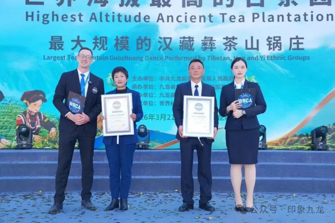 首届九龙天乡茶文化艺术季启幕 两项世界纪录获认证