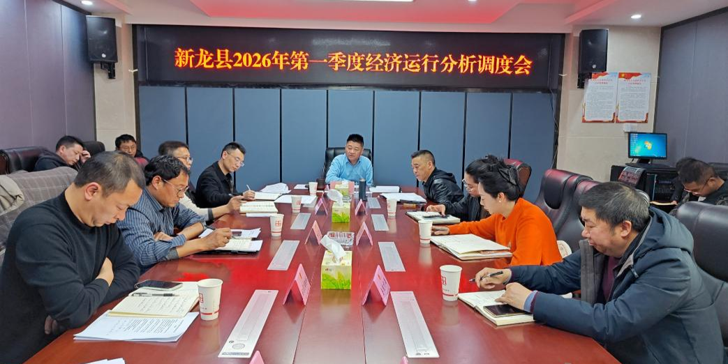 乘势而上 追赶跨越 | 新龙县召开2026年第一季度经济运行分析调度会
