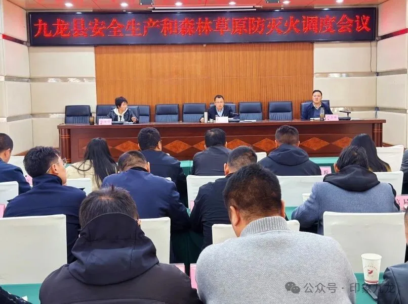 主持召开九龙县安全生产和森林草原防灭火调度会议
